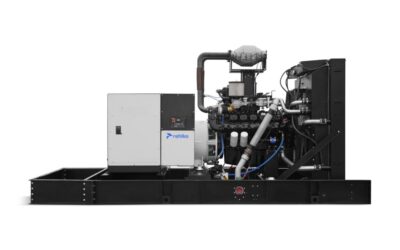 Rehlko 300REZXD natural gas generator front view